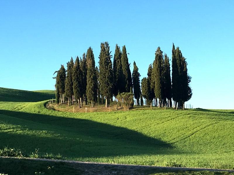 Finestra Sulla Val D'Orcia Apartment San Quirico d'Orcia Bagian luar foto